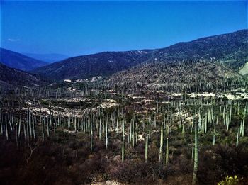 Scenic view of mountains against clear blue sky