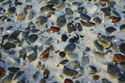 Pebbles in the sea