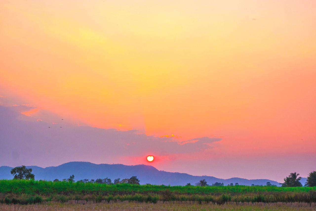 sunset, sky, landscape, environment, horizon, beauty in nature, plant, scenics - nature, field, nature, plain, land, dawn, sun, agriculture, orange color, rural scene, cloud, grassland, prairie, tranquility, tree, multi colored, no people, mountain, red, dramatic sky, savanna, afterglow, tranquil scene, evening, grass, twilight, outdoors, crop, travel, farm, travel destinations, sunlight, social issues, romantic sky, idyllic, food, non-urban scene, summer, pink, red sky at morning, yellow, vibrant color, meadow, food and drink, rural area, copy space, freshness, horizon over land, tourism, environmental conservation, atmospheric mood, purple