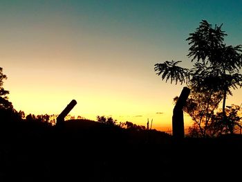 Silhouette of palm trees against clear sky
