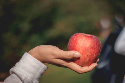 Cropped hand of woman holding apple outdoors