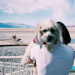 Woman carrying dog by railing at badwater basin