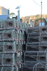 Close-up of fishing net on metal fence