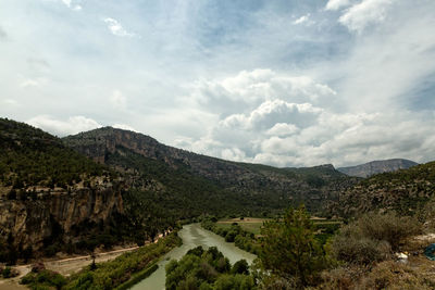 Forest mountains and river