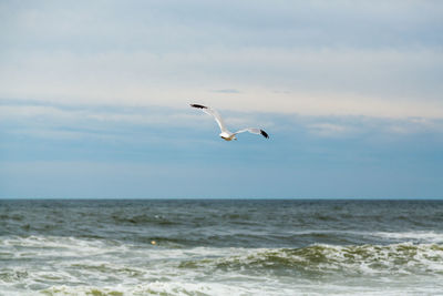 Seagull flying over sea against sky