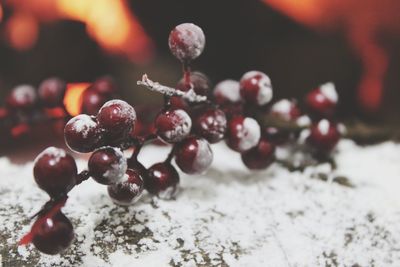 Close-up of cherries in water