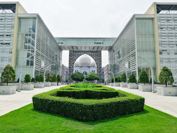 Green plants in garden against modern buildings