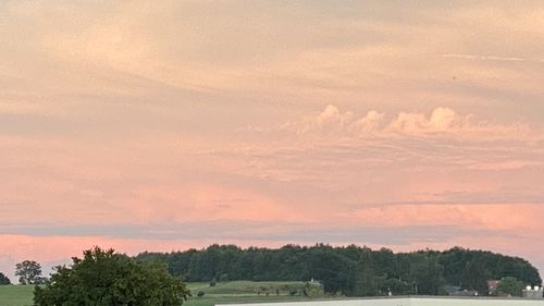 Trees on field against sky at sunset