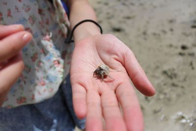 Close-up of cropped hand holding leaf