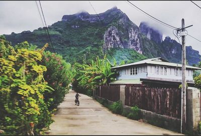 Man amidst trees and mountains against sky