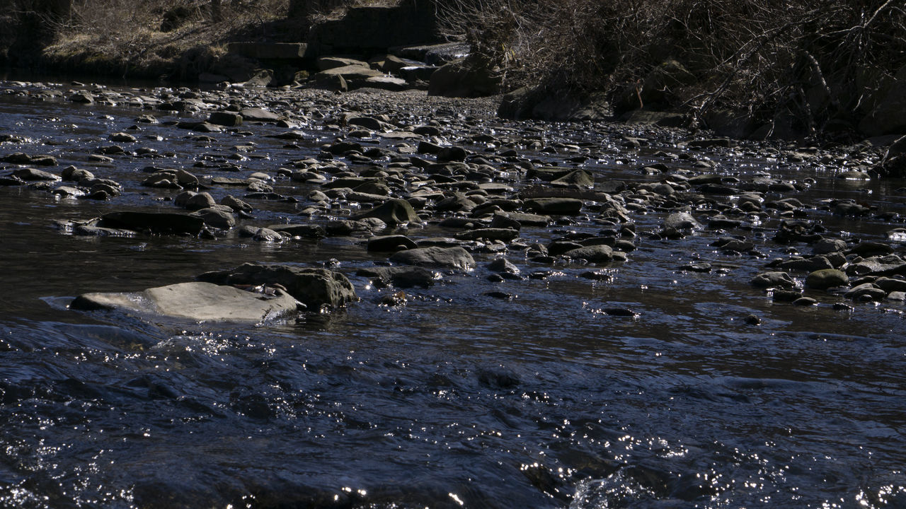 SCENIC VIEW OF RIVER FLOWING THROUGH ROCKS