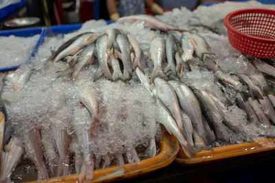 Close-up of fish for sale in market