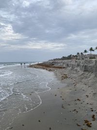 Palm beach beach erosion 