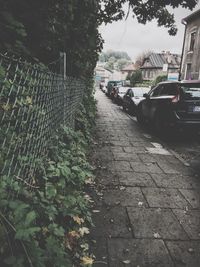 Cars parked on street by footpath against sky