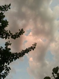 Low angle view of trees against cloudy sky