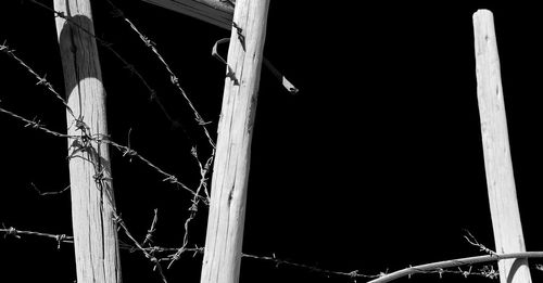 Low angle view of spider web on metal fence