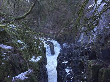 Scenic view of waterfall in forest