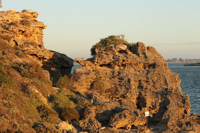 Close-up of sea against clear sky