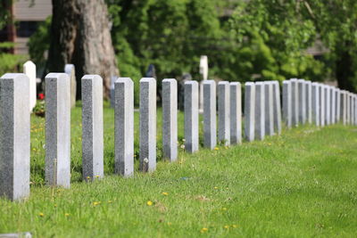 Fort massey military cemetery halifax.