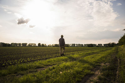 Farmer walking with rake along a field