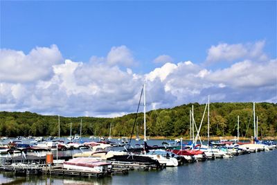 Sailboats moored in harbor