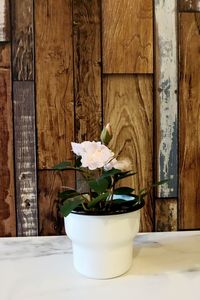 Close-up of white flower vase on table