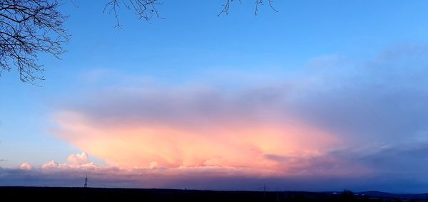 Low angle view of silhouette trees against sky at sunset