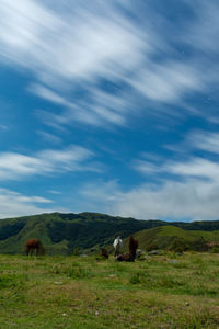 View of a horse on landscape