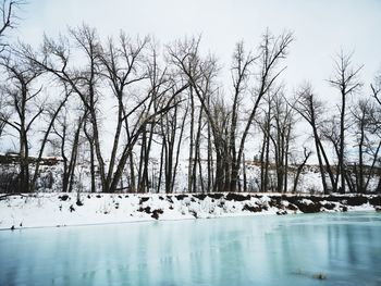 Bare trees on snow covered landscape against sky