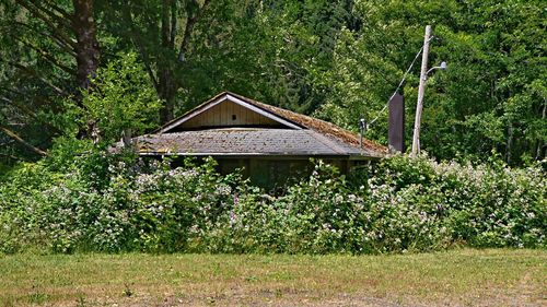 House amidst trees on field