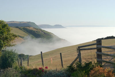 Bright white sea mist floats around the base of rolling green cliffs. fence in foreground leads in.