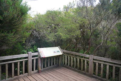 Footpath amidst trees in forest