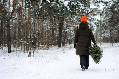 Back view of woman in red hat carrying christmas tree and walkng in snow winter park. preparing for