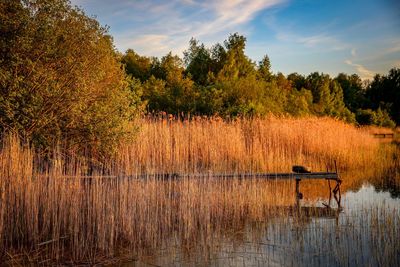 Scenic view of lake against sky