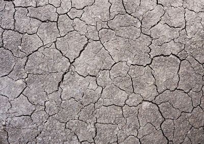 Close-up of cracked land