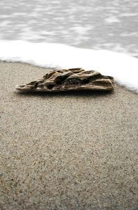 Close-up of sand on beach against sky