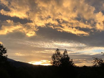 Low angle view of silhouette trees against sky during sunset