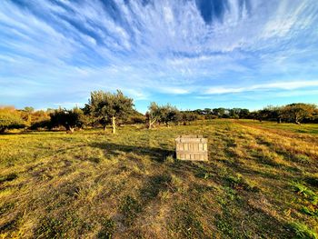 Scenic view of field against sky
