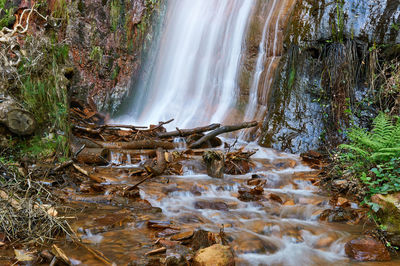 Scenic view of waterfall in forest