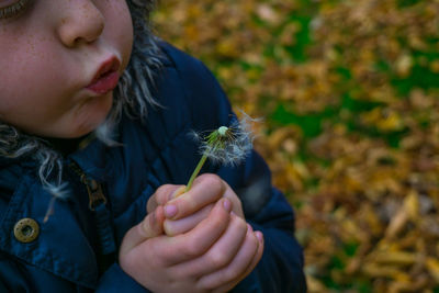 High angle view of girl blowing dandelion