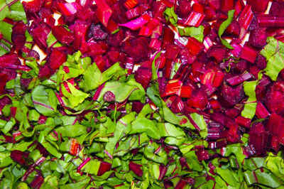 Full frame shot of red berries