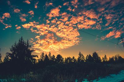 Silhouette trees against sky during sunset