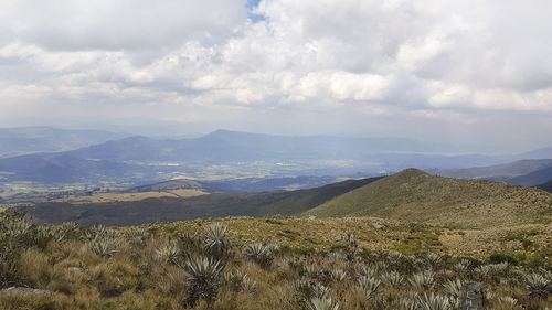 Scenic view of landscape against sky