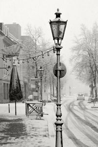 View of street light against trees