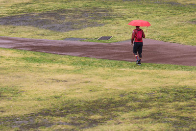 Rear view of woman with umbrella walking on field