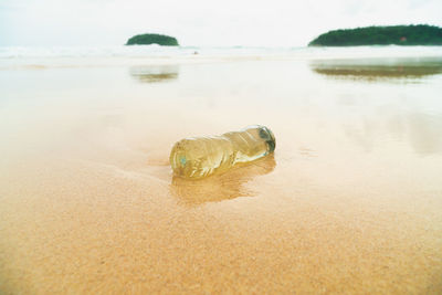 Close-up of water bottle at beach