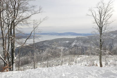 Scenic view of landscape against sky during winter