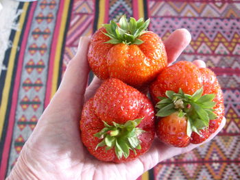 Close-up of hand holding strawberries on table