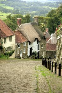 Houses by buildings against trees