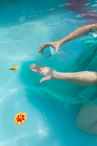 Low section of person swimming in sea